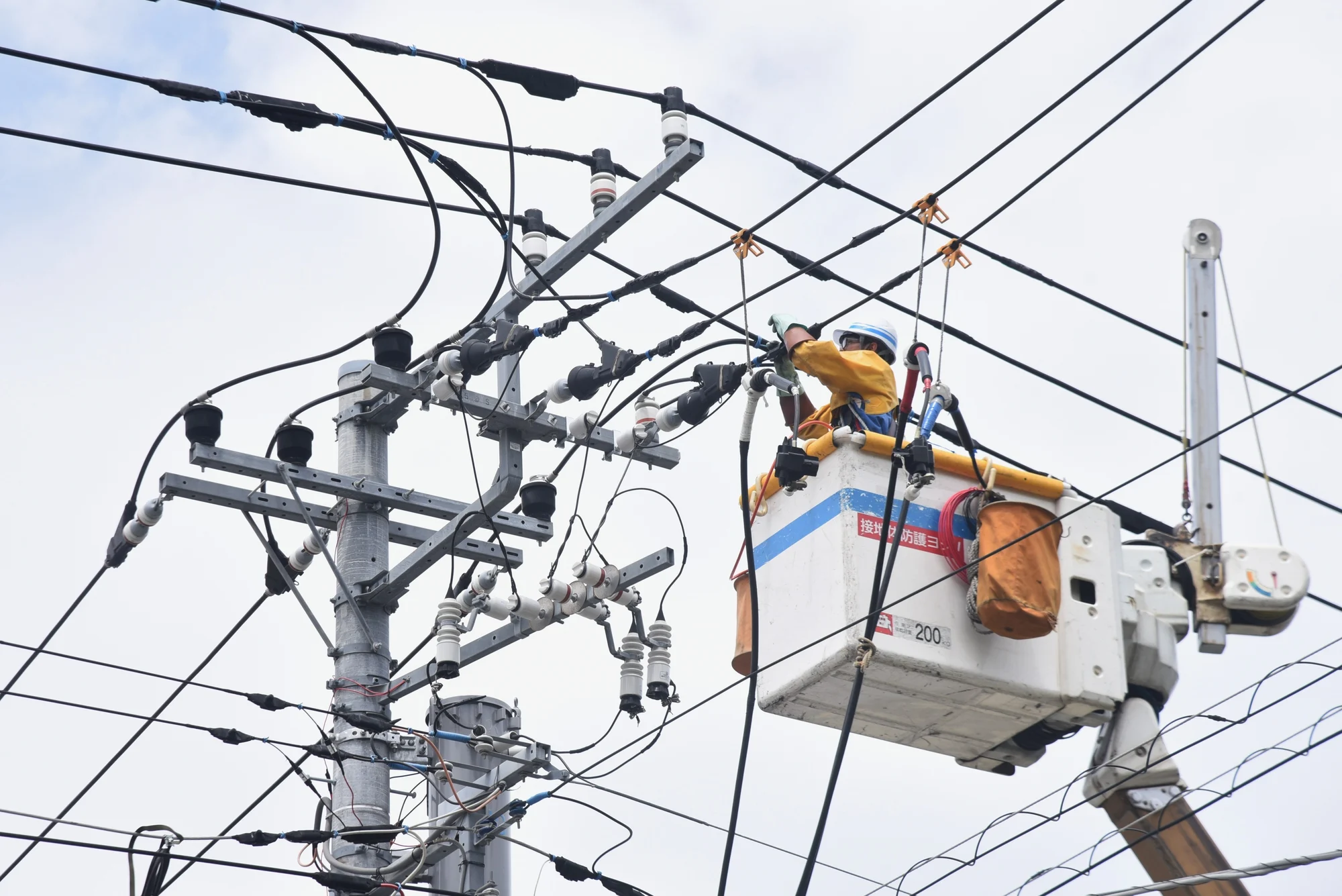 Level 2 ASP electrician working on an overhead service line to a Northern Rivers property